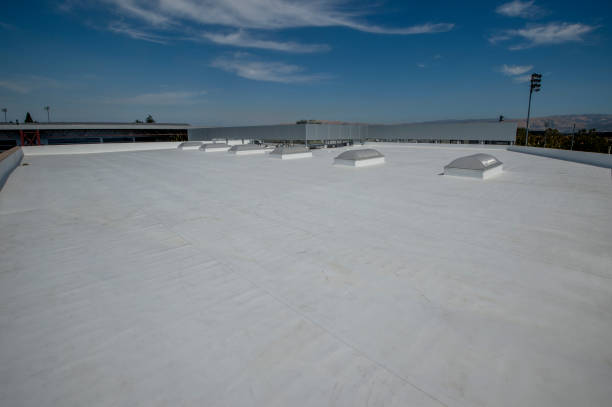 Best Roof Coating and Sealing  in Brodheadsville, PA